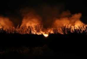 آتش سوزی در بخشی از اراضی حاشیه تالاب انزلی