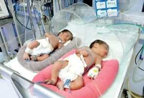 کاهش ۴.۹ درصدی ولادت در گیلان | لزوم بررسی اثربخشی طرح جوانی جمعیت