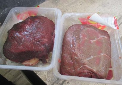کشف بیش از ۴٠٠ کیلوگرم گوشت فاسد در رشت