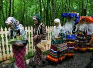 جشنواره نشای برنج در موزه میراث روستایی گیلان زیر باران رشت