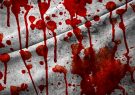 قتل برادر زن به علت اختلافات شخصی در صومعه سرا