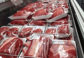 تولید بیش از ۶۰۰ تن گوشت قرمز در فومن